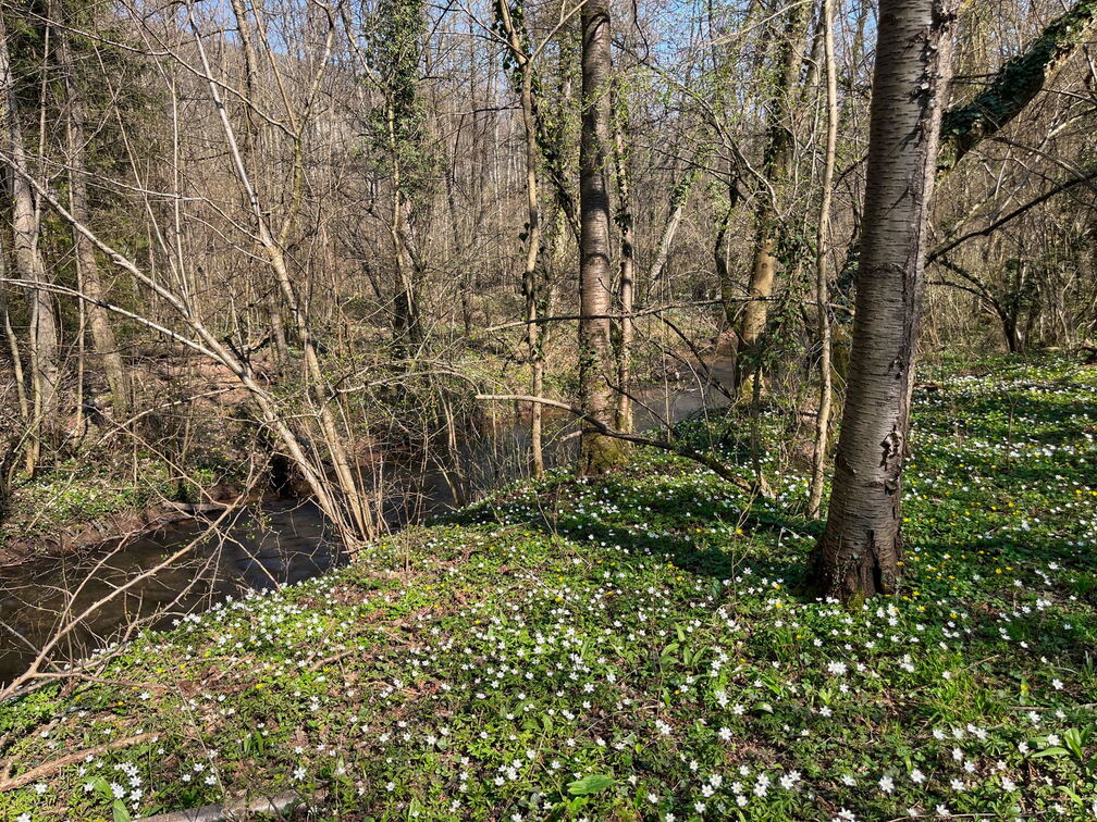 5818083F-FD41-4C37-AEF6-296BBC089DBD-22244-000005088D6A3D6A